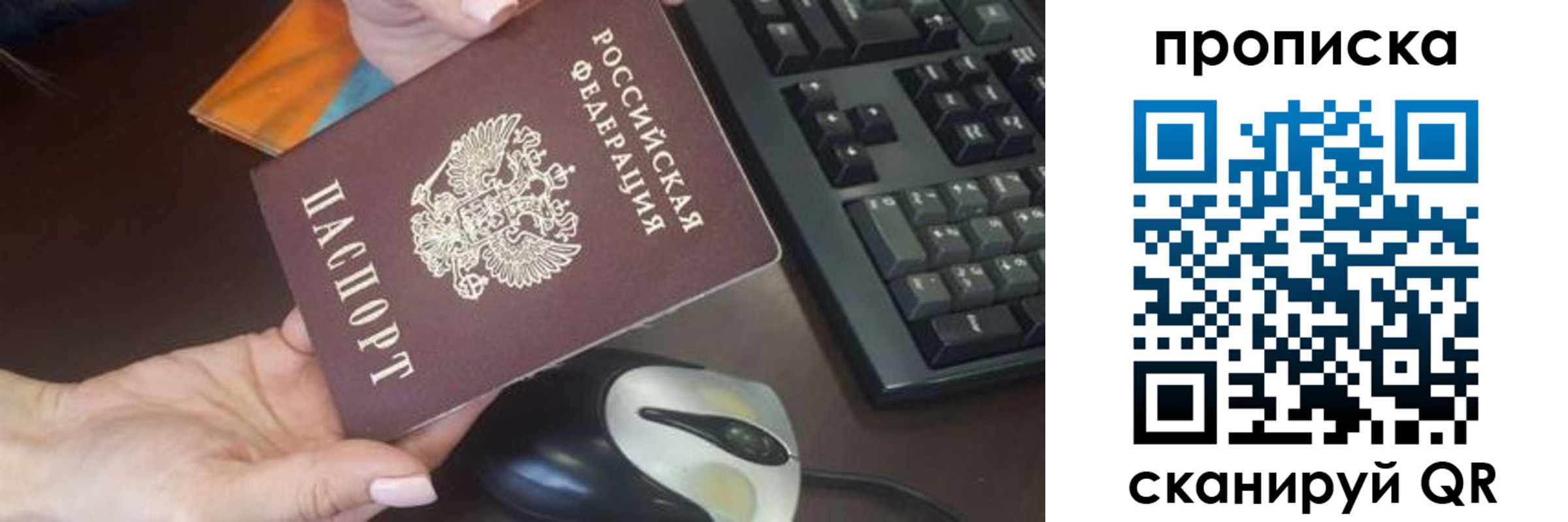 прописка гарантия в Апатитах